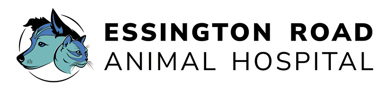 Essington Road Animal Hospital
